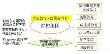 圖文解讀 職業(yè)教育與留學服務，上市公司布局全解析